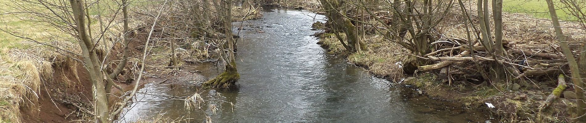 Tocht Te voet Steinau an der Straße - Steinau a.d. Straße - Wartenrundweg - Photo