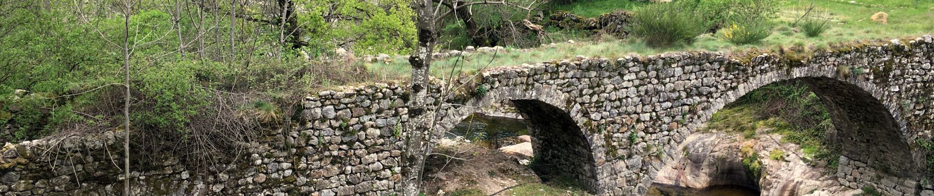 Excursión Senderismo Montpezat-sous-Bauzon - Montpezat sous Bauzon/Le Villaret - Malfaugéres - Photo