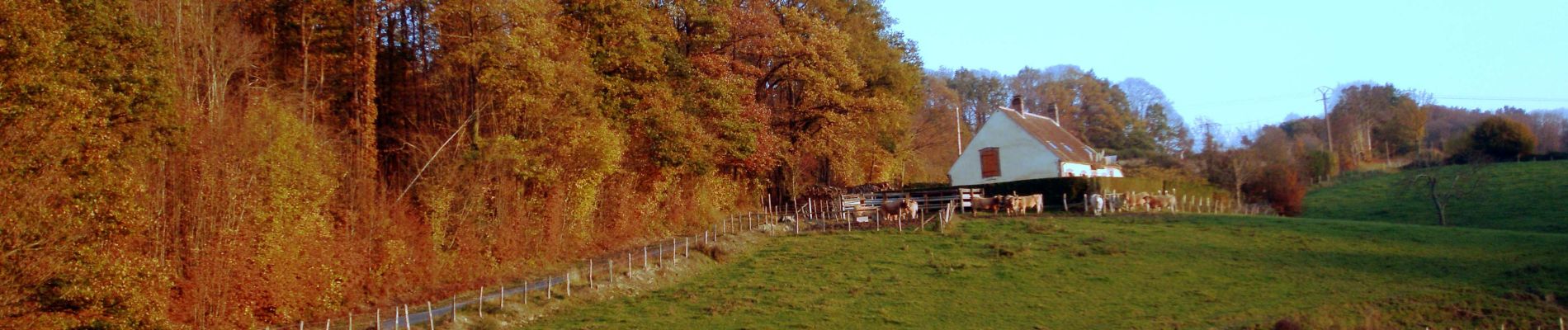 Trail Walking Val-au-Perche - Le Theil-sur-Huisne (Val-au-Perche)-Saint-Germain-de-la-Coudre - 7,4 Km - Photo