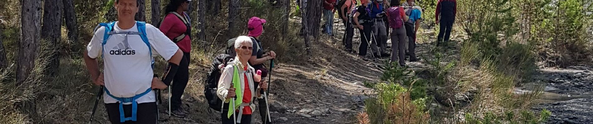 Percorso Marcia Aubignosc - Boucle des Canayons depart Aubignosc  390 + - Photo