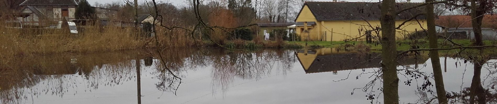 Trail Walking Les Authieux-sur-le-Port-Saint-Ouen - 20250125-gouy - Photo