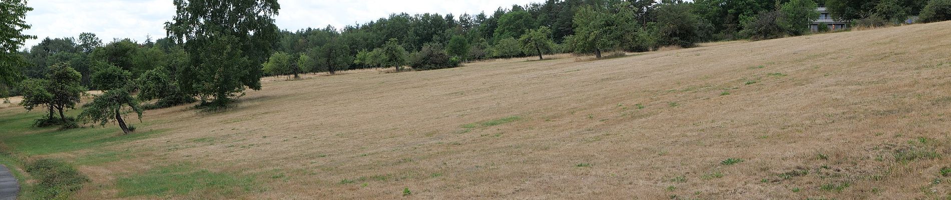 Percorso A piedi Kelkheim - Landsgraben: Eichenblatt - Photo