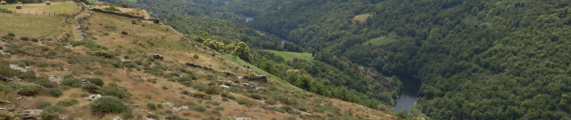 Excursión Senderismo Montselgues - Etape2 Cévenne ardéchoise 17km - Photo