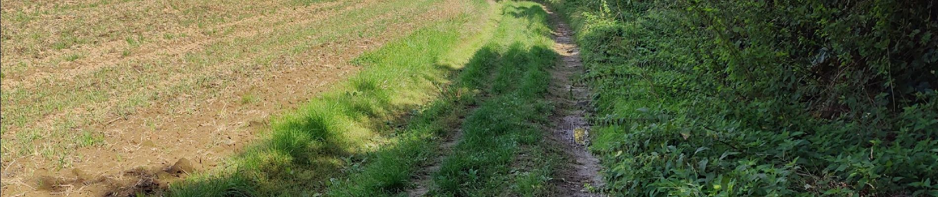 Randonnée Marche Sombreffe - Boignée Tongrinne - Photo