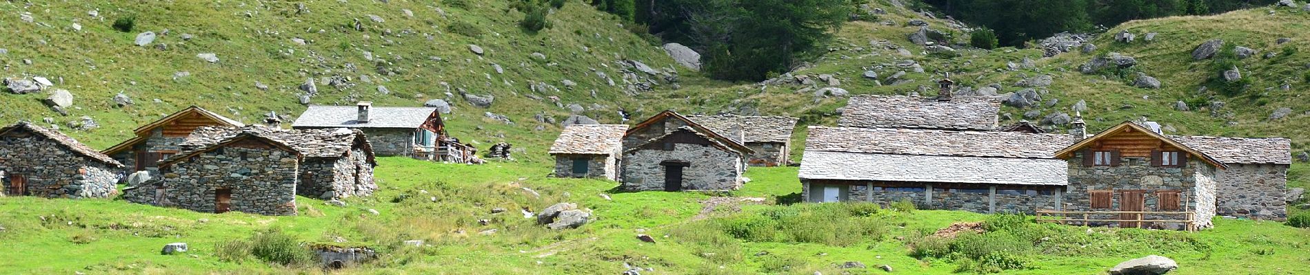 Trail On foot Chiesa in Valmalenco - Sentiero accesso RIFUGIO ANTONIO ED ELIA LONGONI - Photo