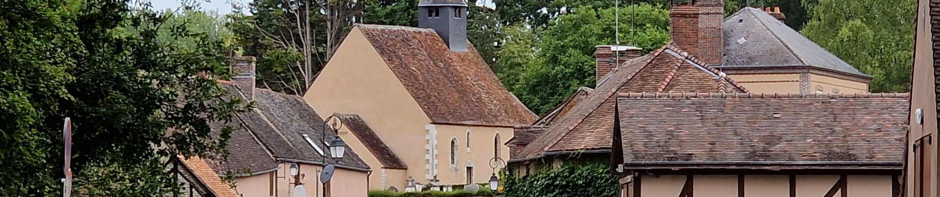 Randonnée Marche nordique Conflans-sur-Loing - Conflans sur loing - Photo