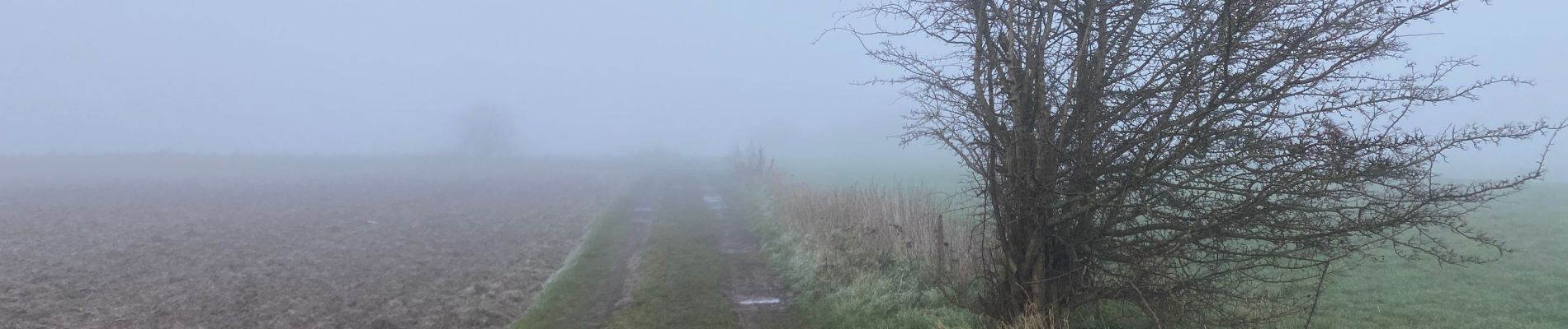 Randonnée Marche Soignies - Thieusie 19,7 km - Photo