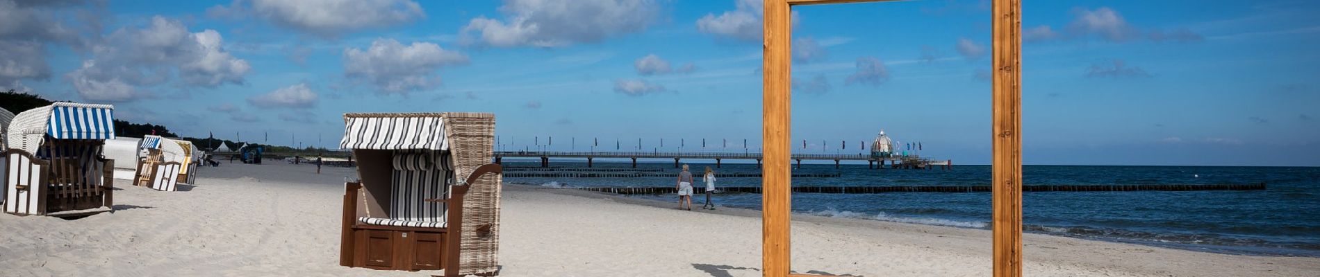 Trail On foot Zingst - Terrainkurweg - Waldweg - Photo