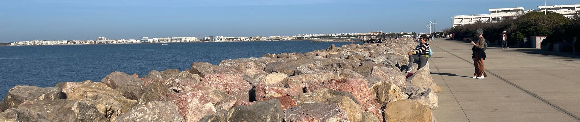 Excursión Senderismo Le Grau-du-Roi - Le Grau du Roi Port Camargue  - Photo