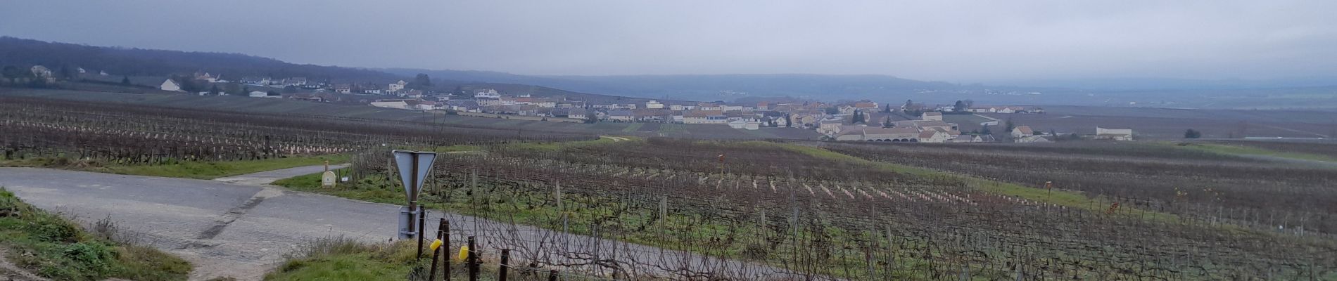 Randonnée Marche Verzy - Entre Faux et Vignes - Photo