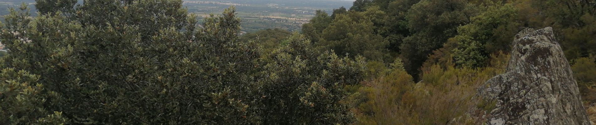 Randonnée Marche Laroque-des-Albères - Dolmen - Photo