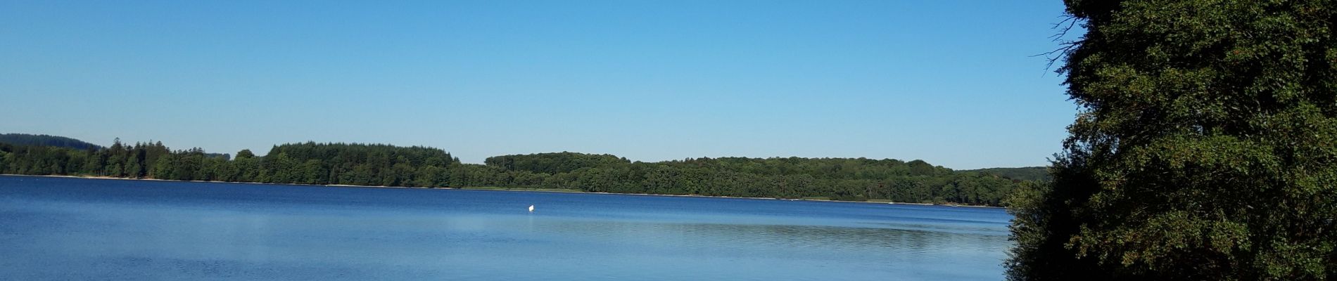 Randonnée Marche Moux-en-Morvan - Lac des Settons - Photo