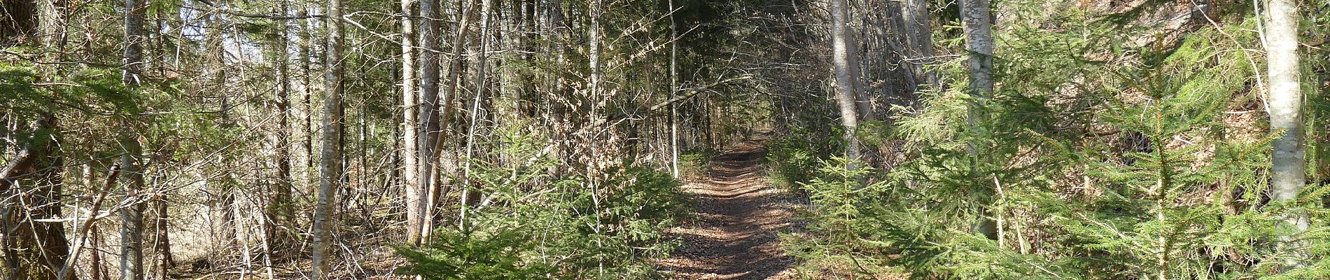 Randonnée A pied Glonn - Wanderweg 5, Glonn - Photo