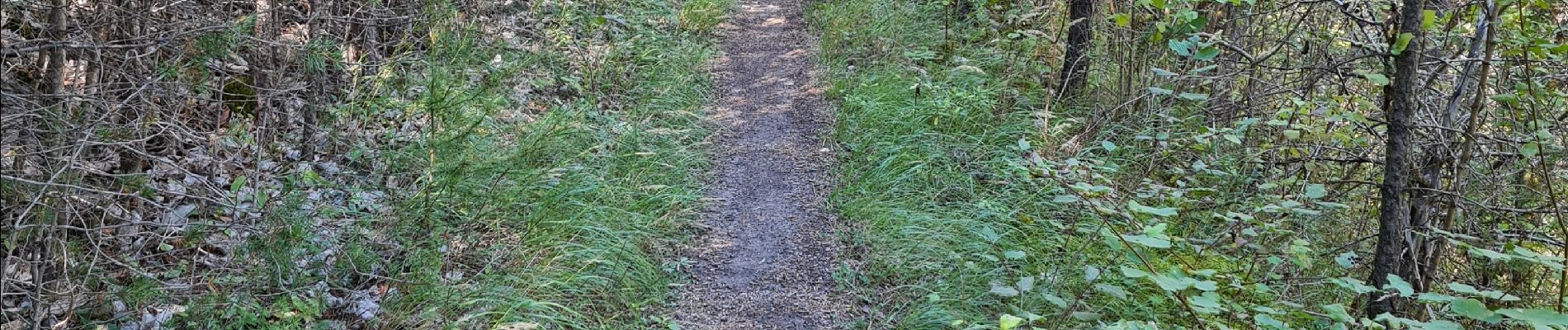 Trail Walking Les Vigneaux - promenade  - Photo