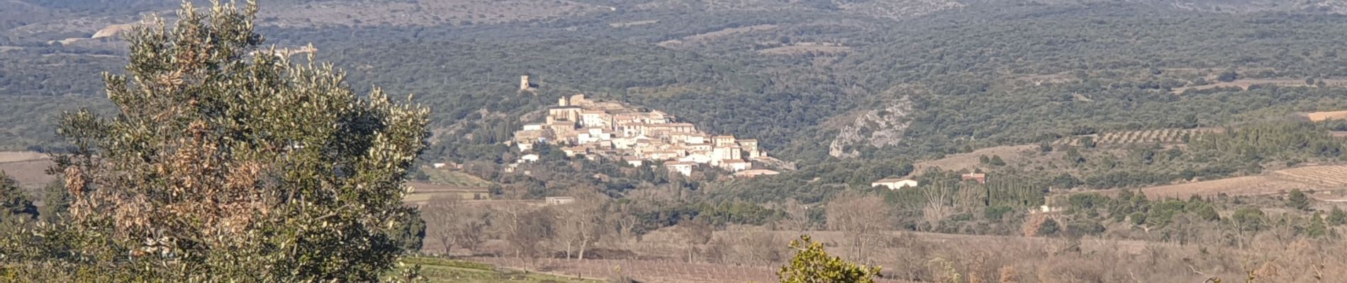 Randonnée Marche Villegly - Boucle de la Ceize Villegly - Photo