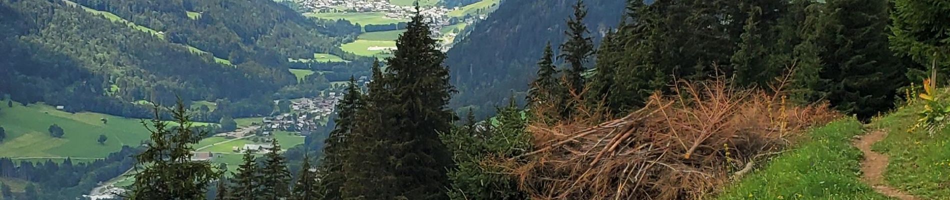 Tocht Stappen Châtel - Morclan vers Super Chatel - Photo