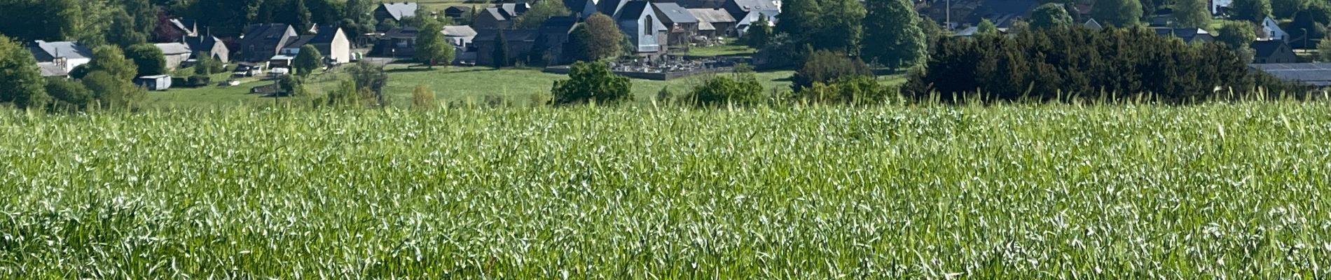 Trail Walking Libramont-Chevigny - Bras - Photo