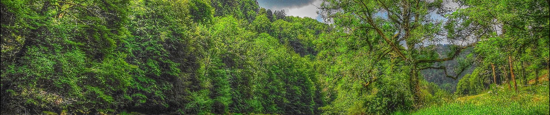 Percorso A piedi Saint-Brais - Tariche - Pont de Ravines - Photo