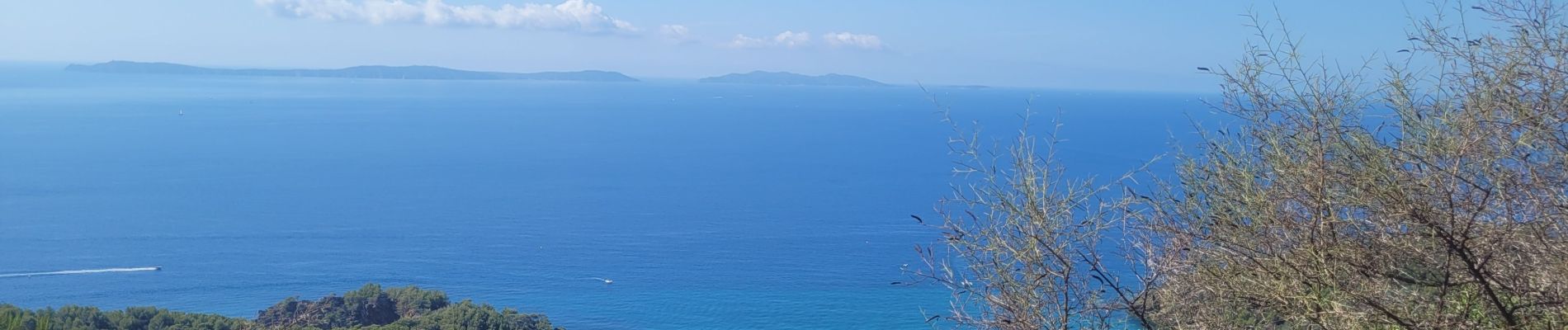 Tour Wandern Cavalaire-sur-Mer - sortie de route - Photo