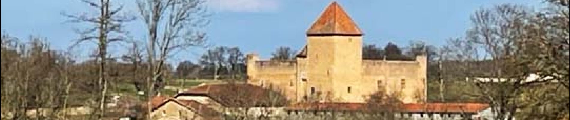 Point d'intérêt Pouilly-sous-Charlieu - Vue sur le château de Montrenard - Photo