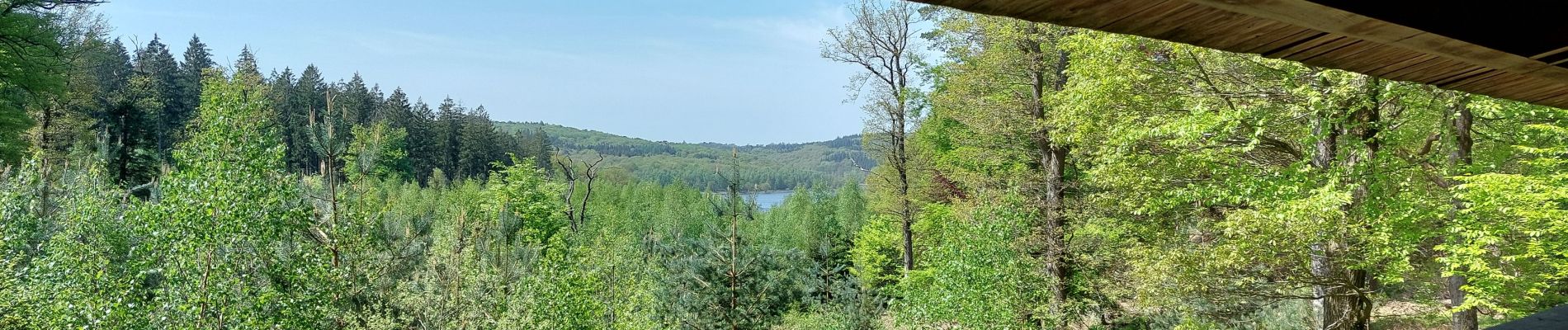 Point d'intérêt Baelen - Aire de vision du Grand Lys - Photo