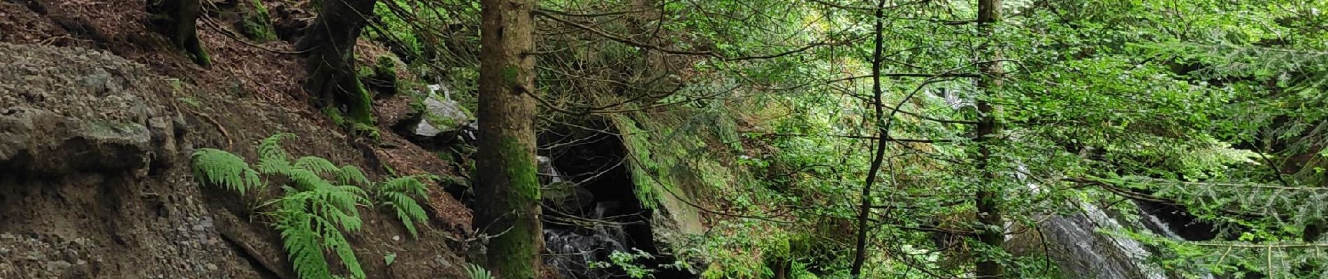 Tocht Stappen Mont-Dore - grande cascade du Mont-Dore - Photo