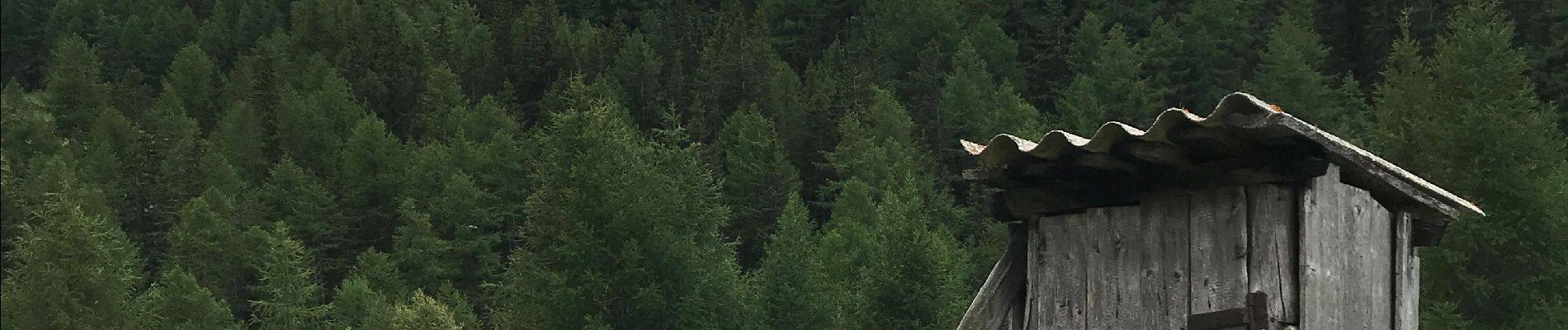 Percorso Marcia Sainte-Foy-Tarentaise - Des bataillettes au monal  - Photo