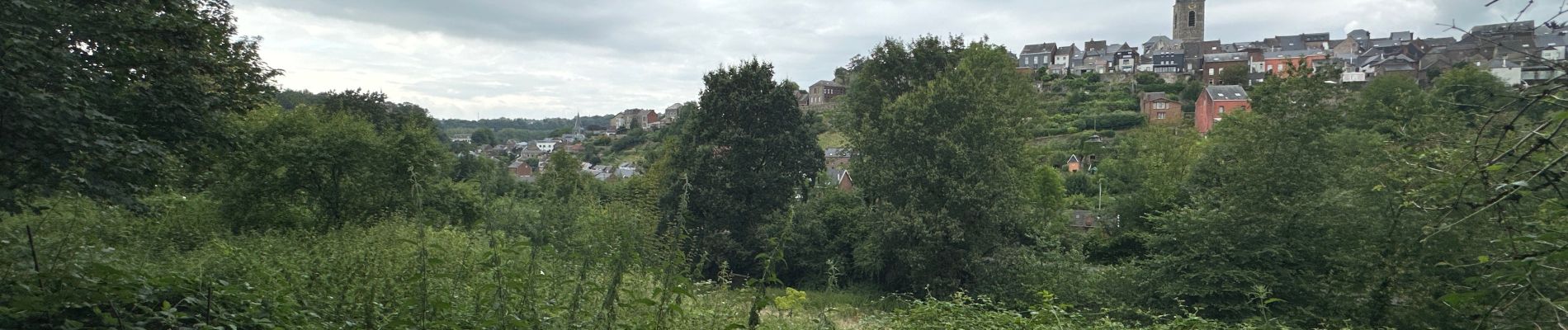 Tocht Stappen Thuin - Thuin vallée de la Biesmelle 16 km - Photo