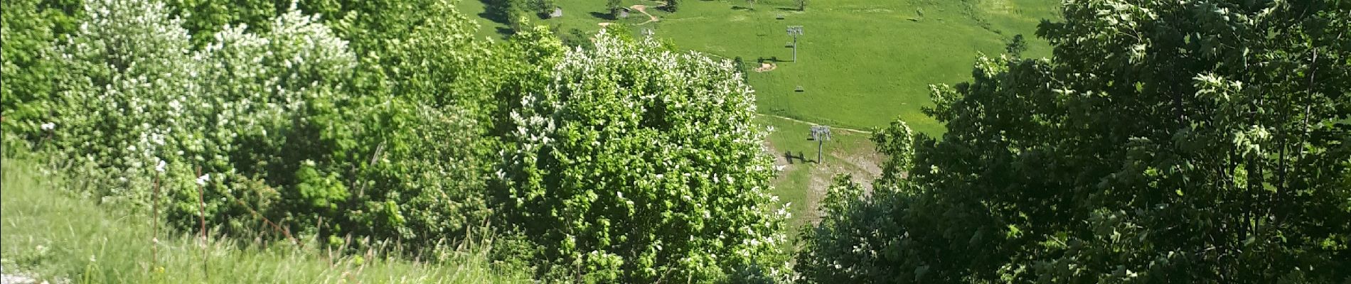 Randonnée Marche Le Grand-Bornand - col vers grand bornand 27/05/22 - Photo