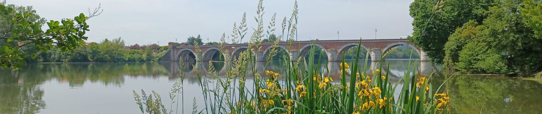 Excursión Bici de montaña Lauzerte - lauzerte  moissac   miradoux - Photo