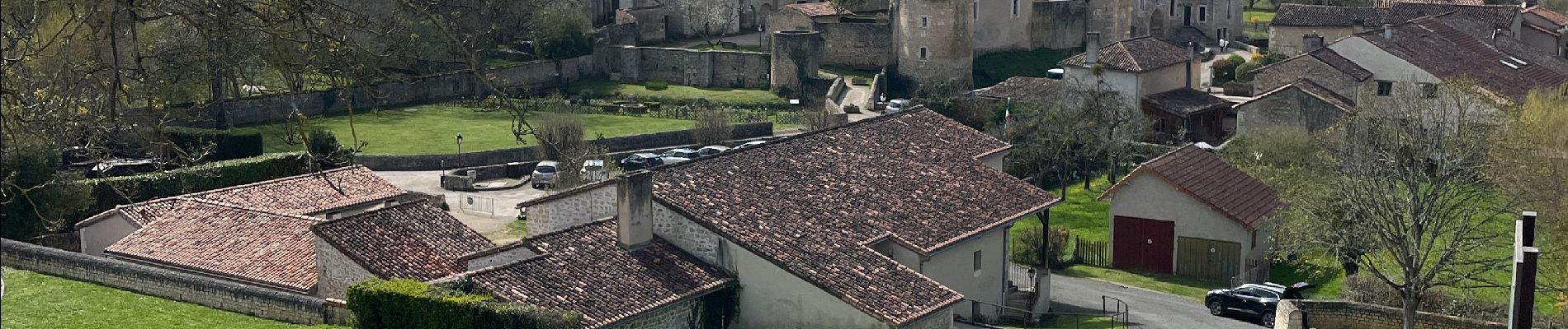 Tocht Stappen Nouaillé-Maupertuis - Nouaillé - Photo