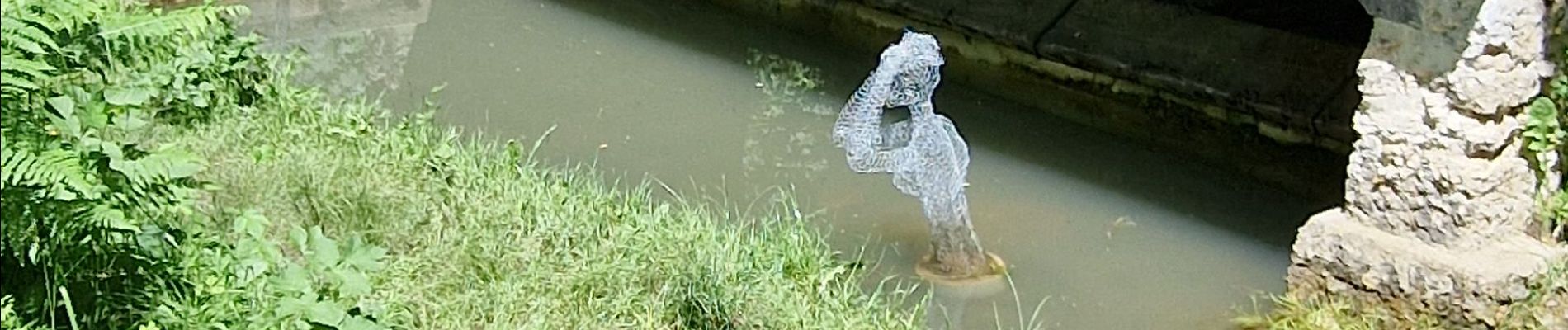 Percorso Marcia Dampierre-en-Yvelines - boucle de Maintcours - Photo