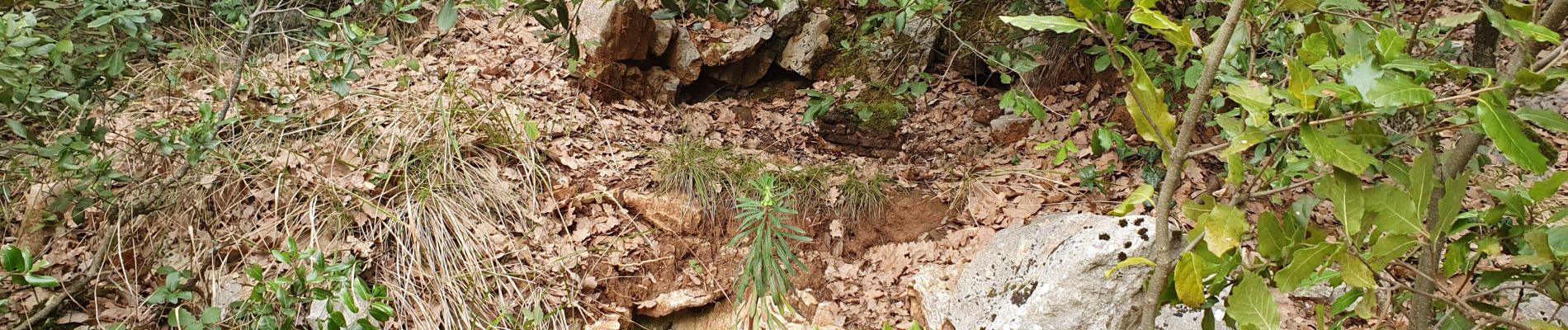 Tour Wandern Signes - Le jas de Marquant la Limate - Photo