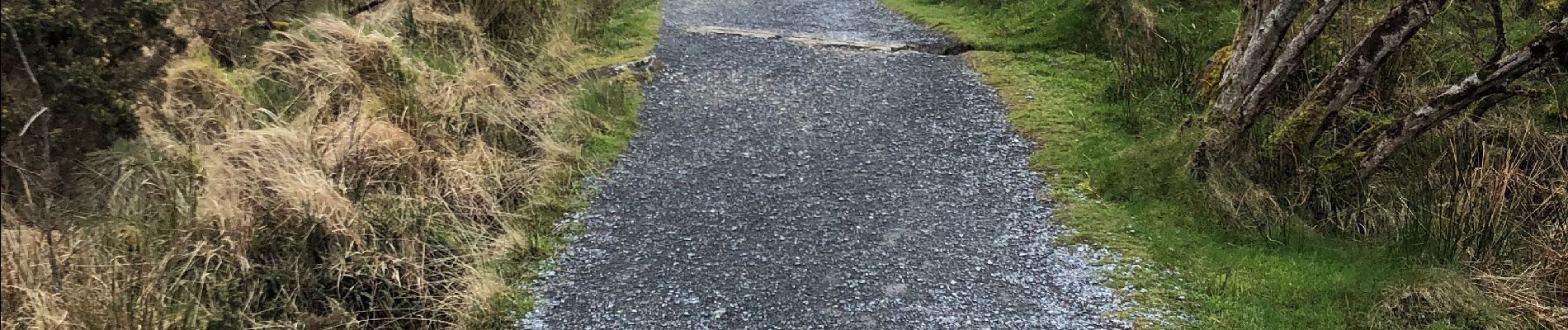 Trail Walking Conamara Municipal District - Connemara national park - Photo