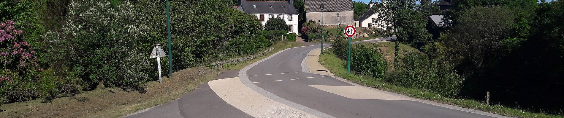 Tocht Te voet Botmeur - Brasparts Circuit des landes et tourbières - Photo