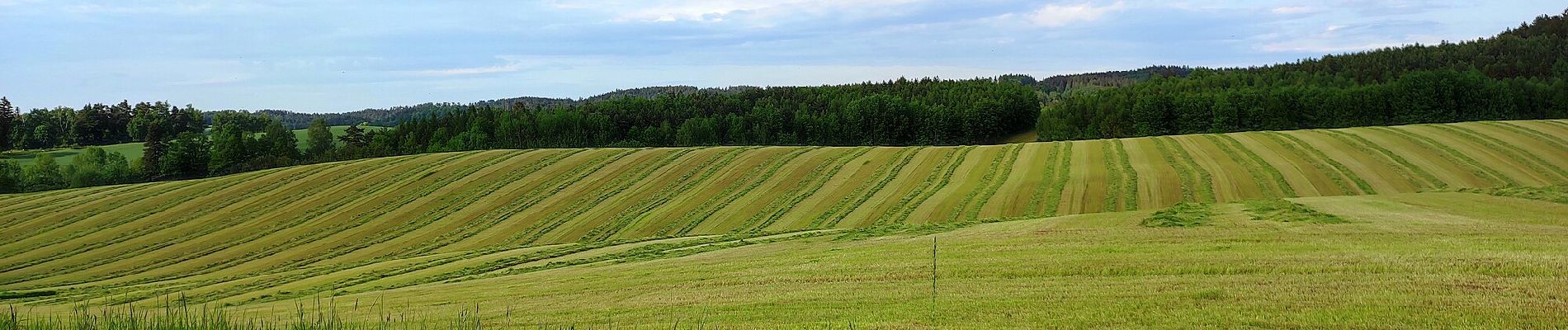 Randonnée A pied Rybník - NS Údolím Skuhrovského potoka - Photo