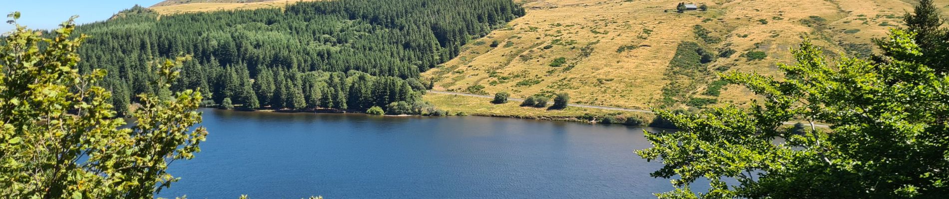 Randonnée Marche Murat-le-Quaire - source-puygros-lac-cascade-may-banne - Photo