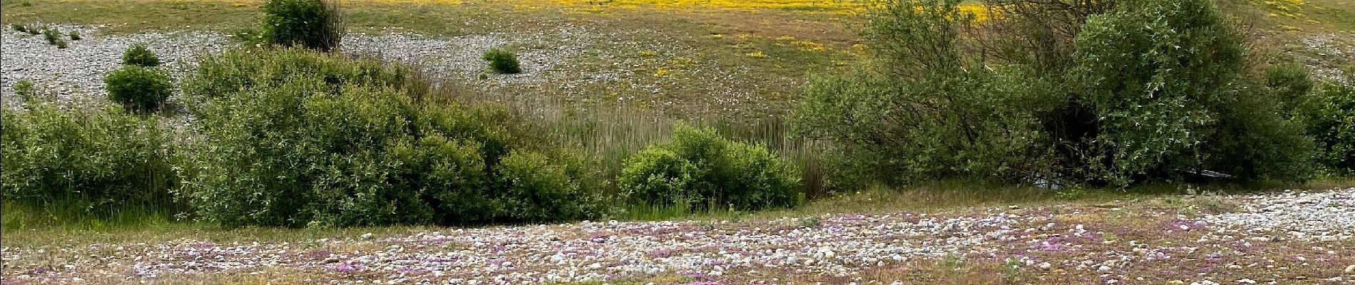 Excursión Marcha nórdica Ault - Ault, Onival et le Hâble d'Ault - Photo