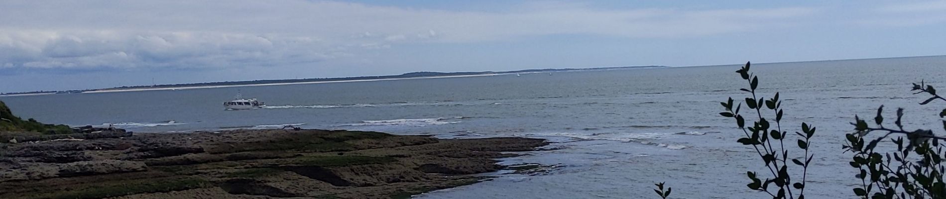 Tocht Stappen Royan - sentier des douaniers  - Photo