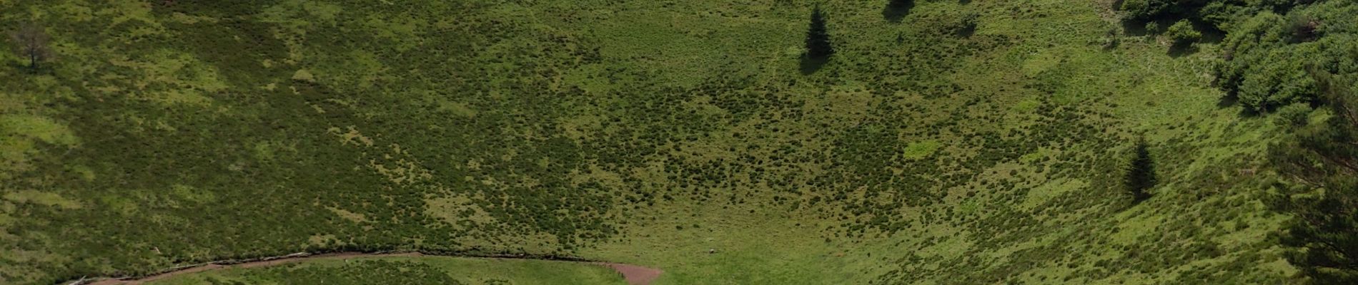 Randonnée Marche Orcines - le Cliersou - Photo