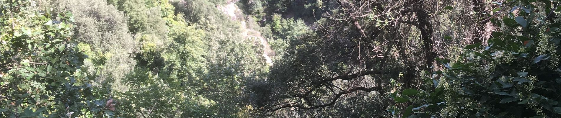 Excursión Senderismo Céret - Les balcons de Céret  - Photo