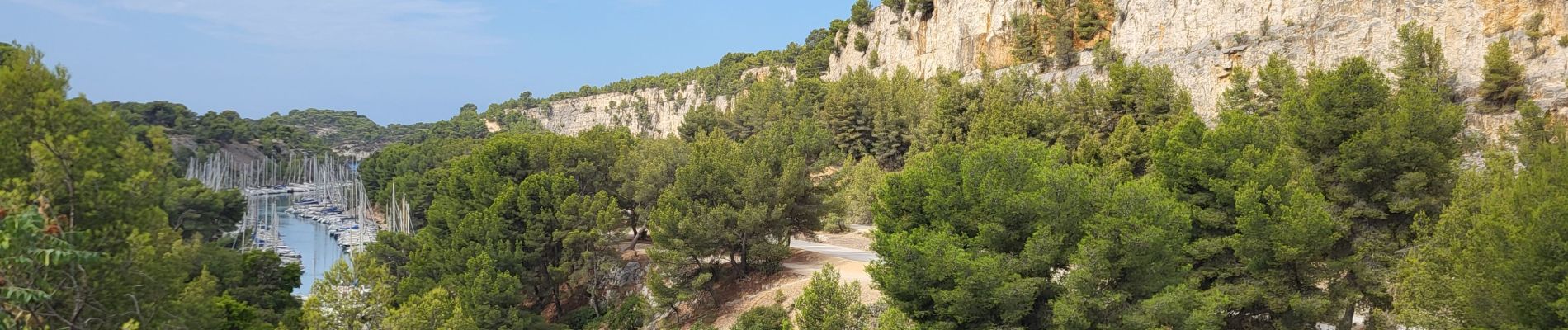 Trail Walking Cassis - Calanques de Port Miou, Port Pin et d'En Vau - Photo