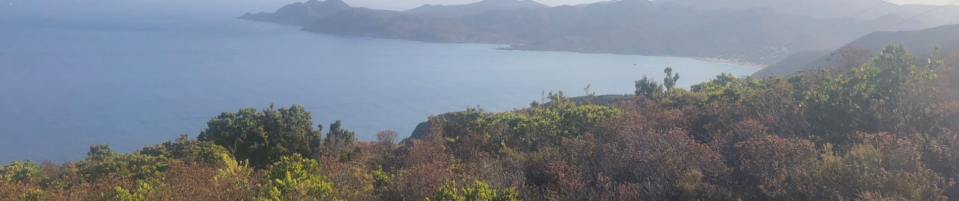 Randonnée Marche Belgodère - Boucle Lozari - plage ostreconi : désert dès agriates  - Photo