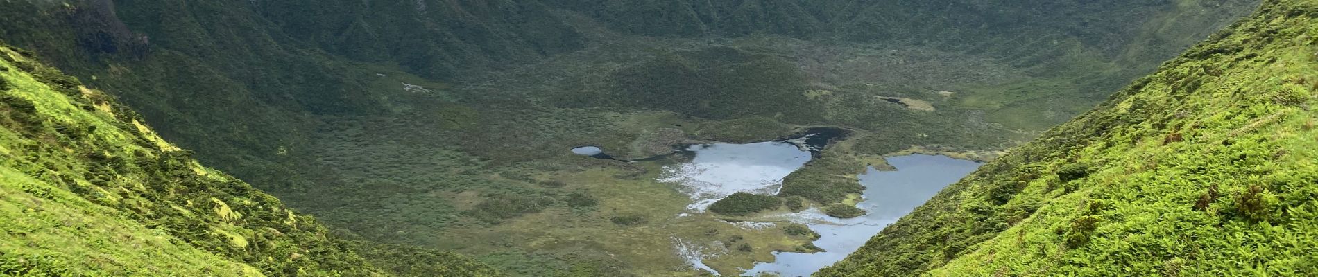 Randonnée Marche Flamengos - FAI GR01 : De volcan en volcan, Faial, Azores - Photo