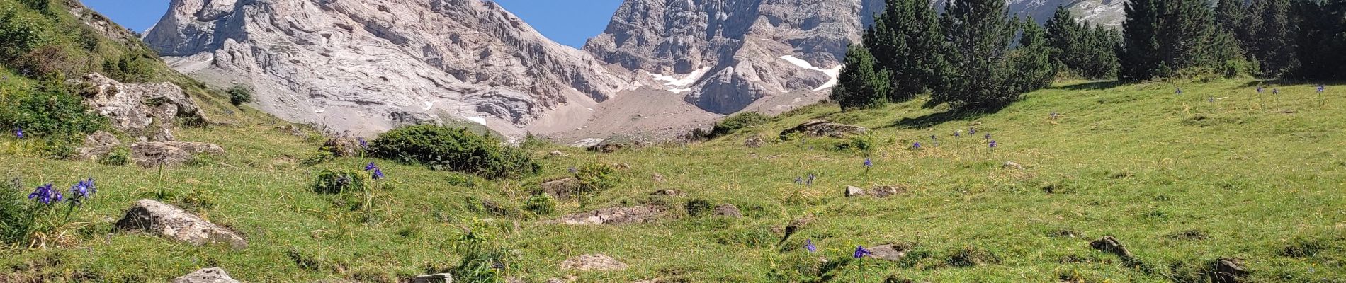 Trail Walking Gavarnie-Gèdre - Gavarnie - Photo