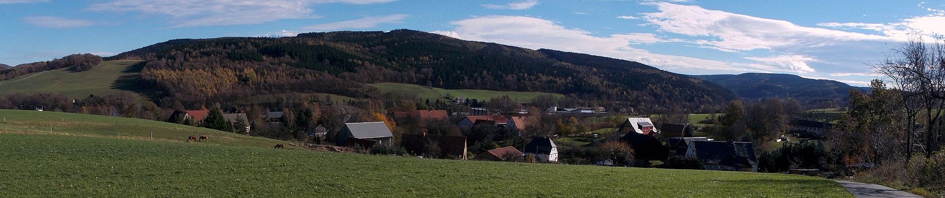 Percorso A piedi Dippoldiswalde - Rundweg Obercarsdorf - Photo