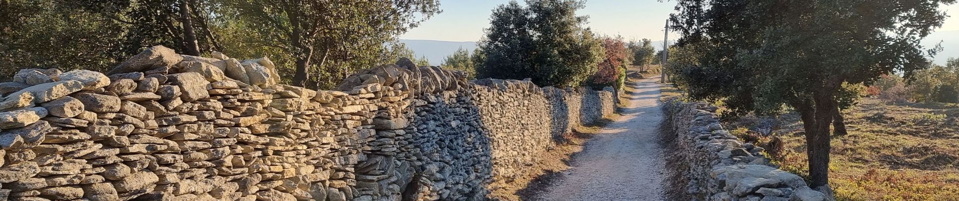 Tocht Stappen Saumane-de-Vaucluse - abords de Saumane  - Photo