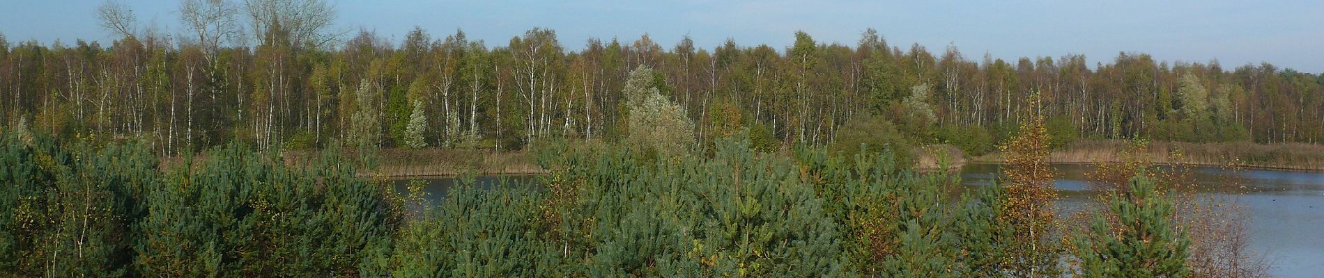 Percorso A piedi Lommel - Sahara Oranje bol - Photo