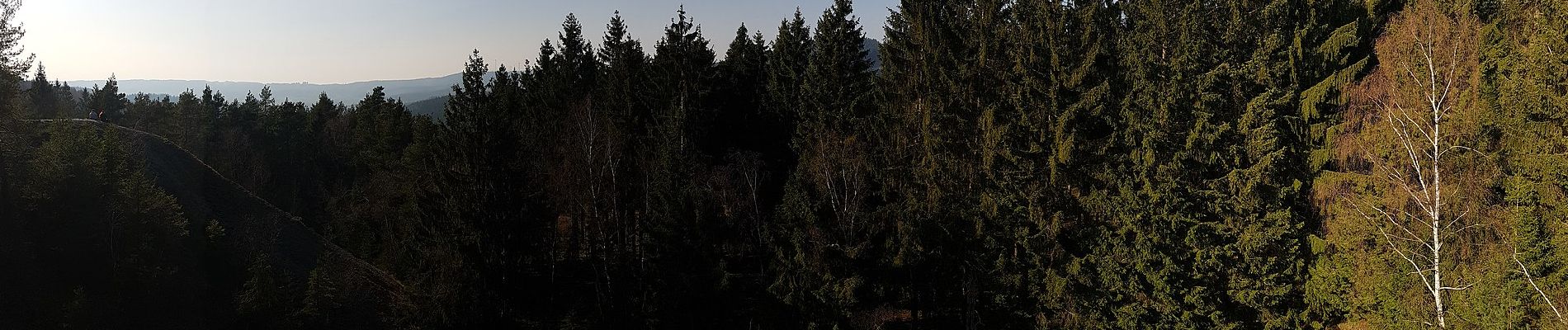 Trail On foot Kreuztal - Littfeld über Kreuzbank zum Altenberg - Photo