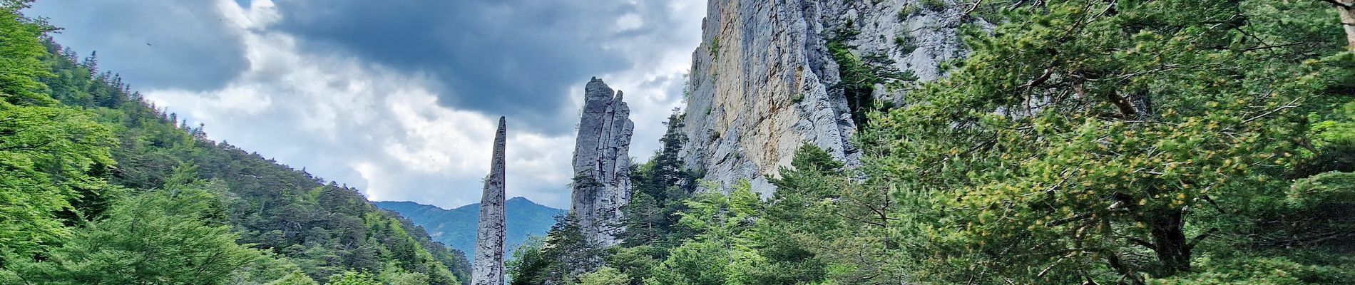 Tour Wandern Glandage - Tour Montagne de belle Motte et sucettes de Borne Via Glandage - Photo